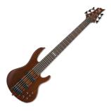 ESP LTD D-6 šestistrunná baskytara
