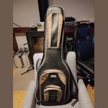 obal na kytaru Thomann E-Guitar Gigbag Premium BR