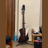 Epiphone Thunderbird VI