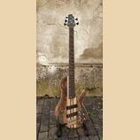 Prodám Cort Artisan A5 Plus SCMS