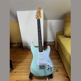 Elektrická kytara Jay Turser JT 300 mint