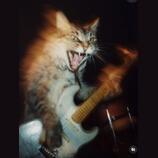 Alt rock projekt