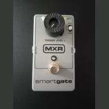 MXR Smart gate