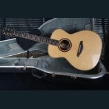 Koupím Furch/Martin/Taylor/Seagull