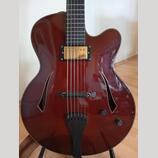 Jazzová kytara Jiří Navrátil (možná výměna za Telecaster)