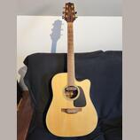 Takamine GD51CE NAT