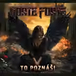 Hled&aacute;me hlavn&iacute;ho kytaristu (rock, vlastn&iacute; tvorba)