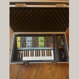 Moog Grandmother + hard case