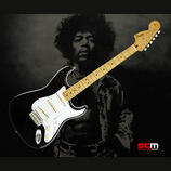 Fender Stratocaster signatura J.Hemdrix 
