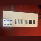 Mellotron m4000d mini