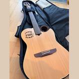 Godin MultiAC Steel