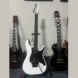 Schecter Sun Valley Super Shredder FR Sustainiac + Tremmory 