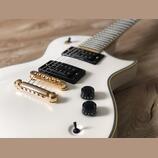 ESP 401 Seymour Duncan sh4 sh2 