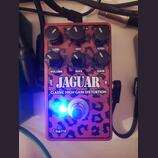 Caline CP-510 Jaguar Distortion