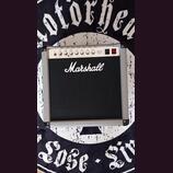 Marshall 2525C Silver Jubilee