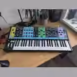 moog matriarch