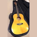 Dvanáctistrunná elektroakustická kytara TANGLEWOOD TW40-12 S