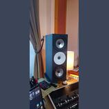 Amphion TWO 18 + Amphion amp 700