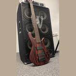 Spector NS Pulse Cinder Red + fishman fluence