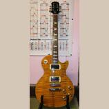 Epiphone Les Paul Joe Perry Signature 2004 - Boneyard