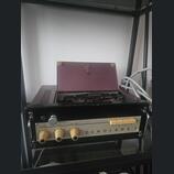 Tesla Echolana 2