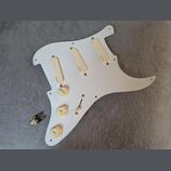 EMG DG-20