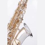 Pronajmu saxofon sopran, alt, tenor, baryton .