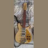 Rickenbacker 325