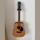 Cort AD 810E-12 OP