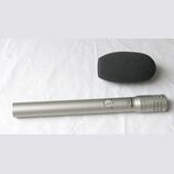 Shure SM81