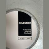 Celestion G12T-100/8ohm