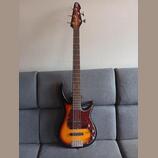 Peavey Milestone 5BXP 