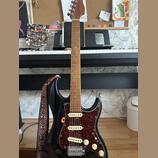Stratocaster Sire Larry Carlton