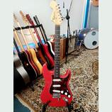Custom Stratocaster Hardtail Reverse (Piornos Guitars)
