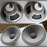 Celestion G12L