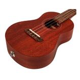 KOncertni ukulele Takamine EGU Series 1