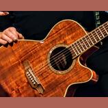 Prodám kytaru Takamine EF508 KC