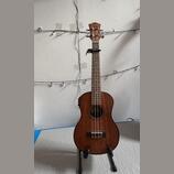 Elektroakustické tenorové ukulele s příslušenstvím 