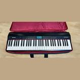Prodám Roland GO Piano 61