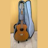 12-strunná kytara Cremona acoustic