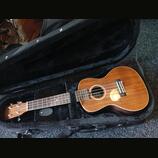 Celomasivní Ukulele lanikai acs-c, nové v záruce 