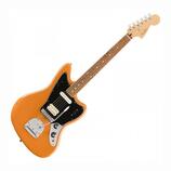 Koupím Jaguara/Jazzmastera player I