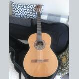 Godin Patrie concert
