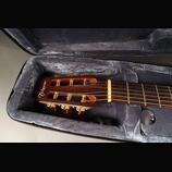 Takamine DSF 65 C Santa Fe