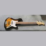 Cort GB 24JJ 2T
