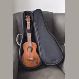 ukulele Ortega RU5MM-TE + obal