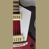 Pickguard Jolana Diskant