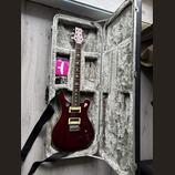 PRS SE Standard 24+Boss Katana 100 2+Footswitch Boss GA-FC