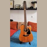 TAKAMINE GD30CE 12 str.