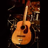 HARMONY H1270 SOVEREIGN 12-STRING JUMBO